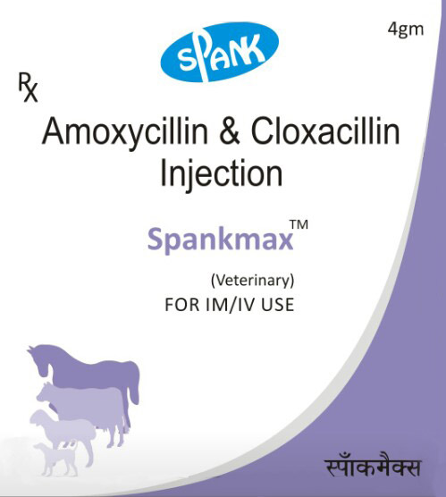 Amoxycillin Cloxacillin Injection