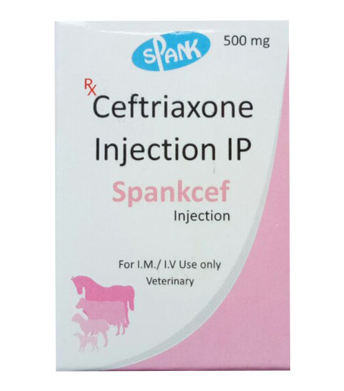 Ceftriaxone Injection Ip 500mg