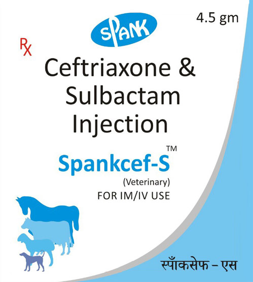 Ceftriaxone Sulbactam injection