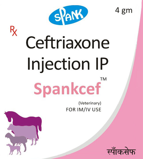 Ceftriaxone Injection Ip